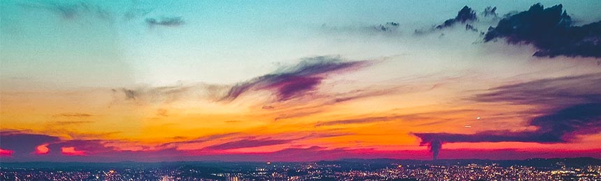 梨树县茶虫网_梨树县品茶